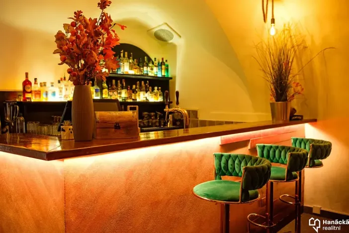 Prodej restaurace, Olomouc, Denisova, 110 m2