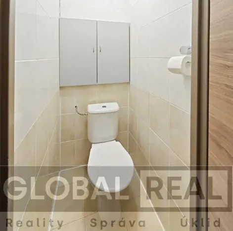 Pronájem bytu 1+1, Jihlava, U Pivovaru, 33 m2