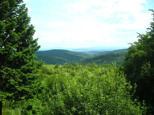 Prodej rodinného domu, Salaš, 140 m2