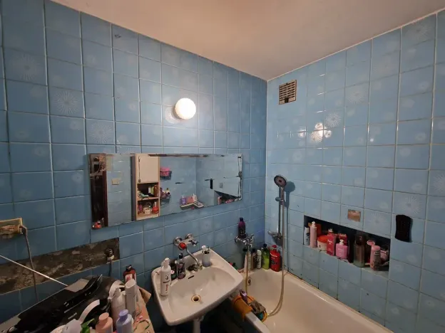 Prodej rodinného domu, Havířov, Jarní, 220 m2