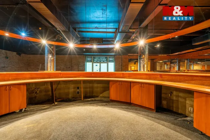 Prodej obchodního prostoru, Praha, Trnkovo náměstí, 324 m2