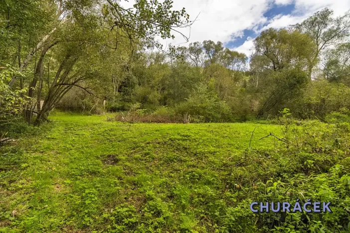 Prodej pozemku pro bydlení, Kácov, 16220 m2