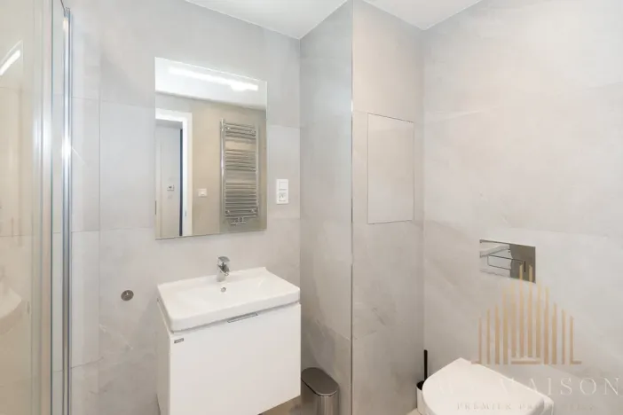 Pronájem bytu 1+kk, Praha - Žižkov, Jana Želivského, 39 m2