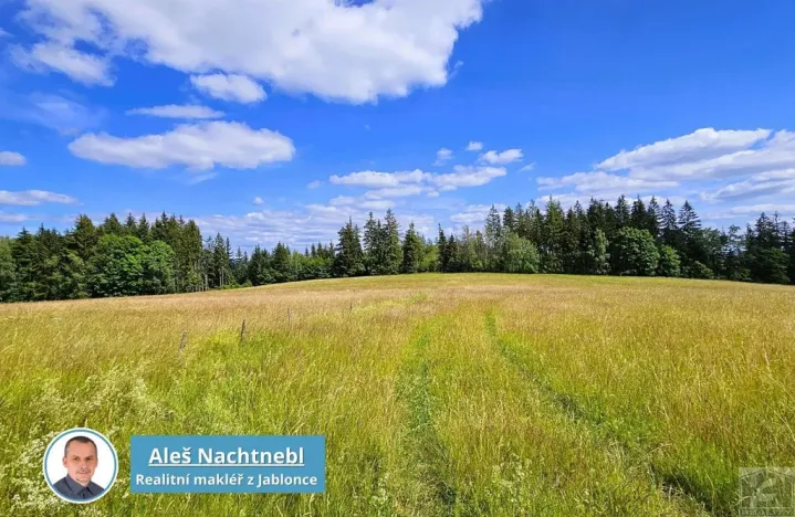 Prodej pozemku, Zásada, 2647 m2