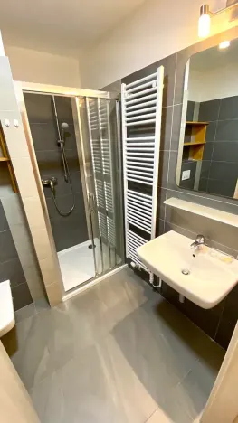 Pronájem bytu 1+kk, Brno, Přadlácká, 31 m2