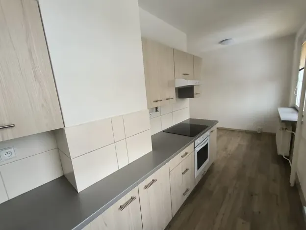 Pronájem bytu 2+1, Ústí nad Labem, Hornická, 55 m2