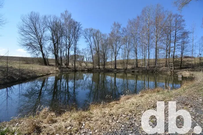 Prodej rybníku, Toužim, 5506 m2