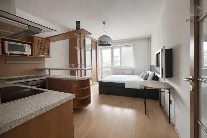 Pronájem bytu 1+kk, Brno, V Újezdech, 30 m2