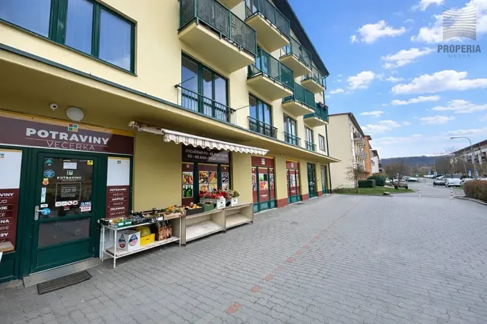 Pronájem bytu 1+kk, Brno, V Újezdech, 30 m2