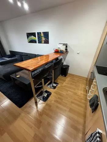 Pronájem bytu 1+kk, Brno, Kosmova, 40 m2