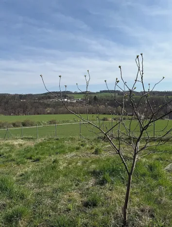 Prodej pozemku pro bydlení, Letovice, 853 m2