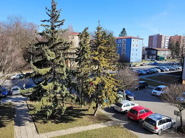 Prodej bytu 3+1, Olomouc, Kmochova, 76 m2