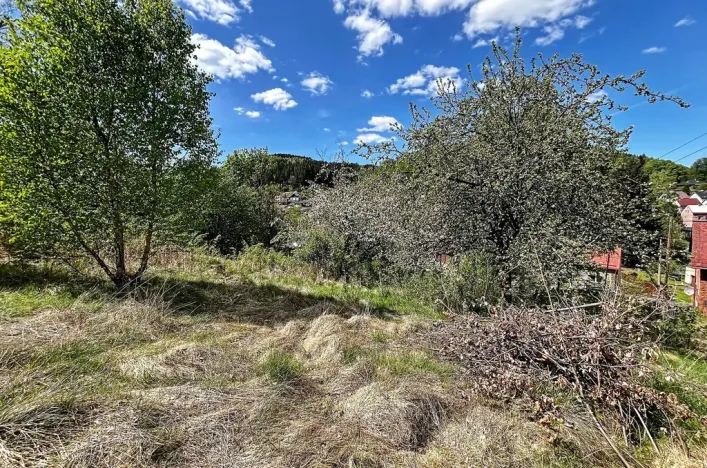 Prodej pozemku pro bydlení, Kraslice, 1039 m2