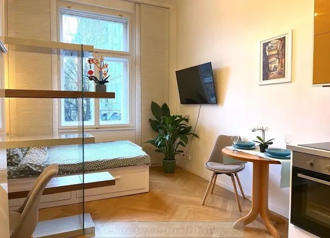 Pronájem bytu 1+kk, Praha - Nusle, náměstí Bratří Synků, 23 m2