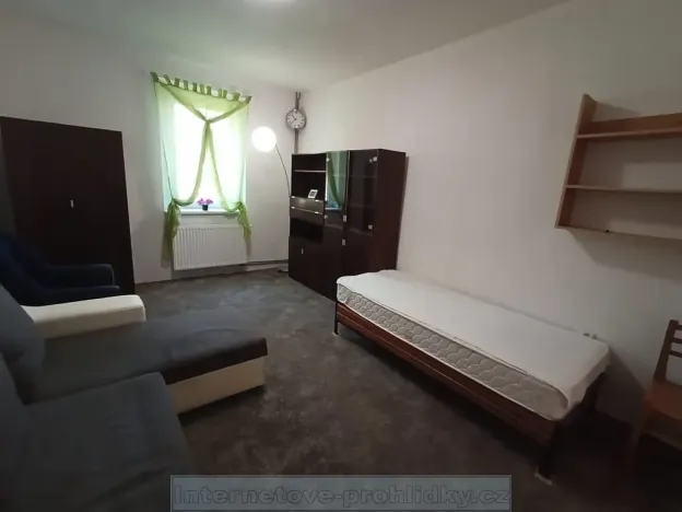 Pronájem bytu 1+1, Praha - Holyně, U vápenice, 40 m2