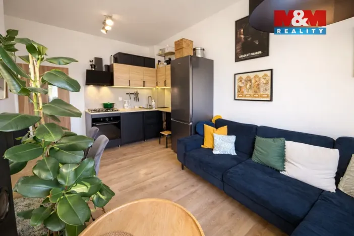 Pronájem bytu 2+kk, Praha - Podolí, Levá, 37 m2
