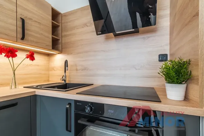 Pronájem bytu 2+kk, Slaný, Bezručova, 33 m2