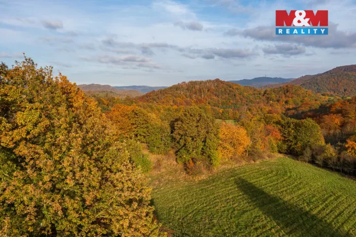 Prodej louky, Ústí nad Labem - Svádov, 14398 m2