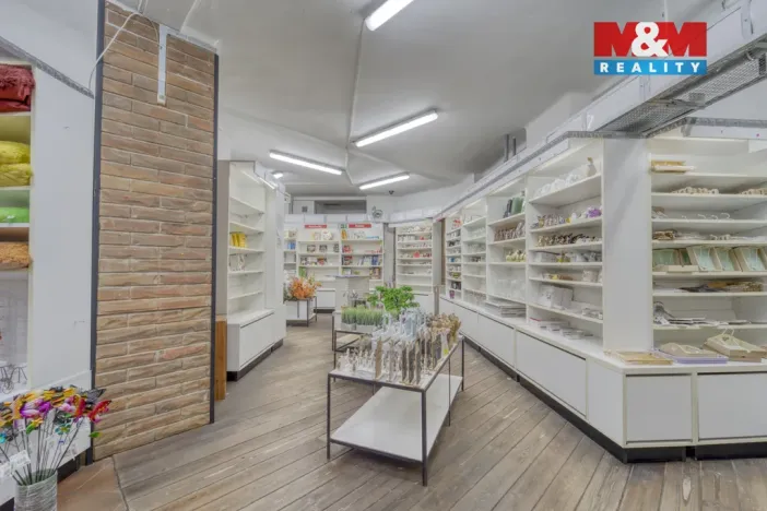 Pronájem obchodního prostoru, Plzeň - Vnitřní Město, Bedřicha Smetany, 304 m2