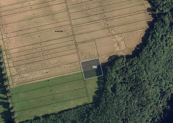 Prodej louky, Vavřinec, 16163 m2