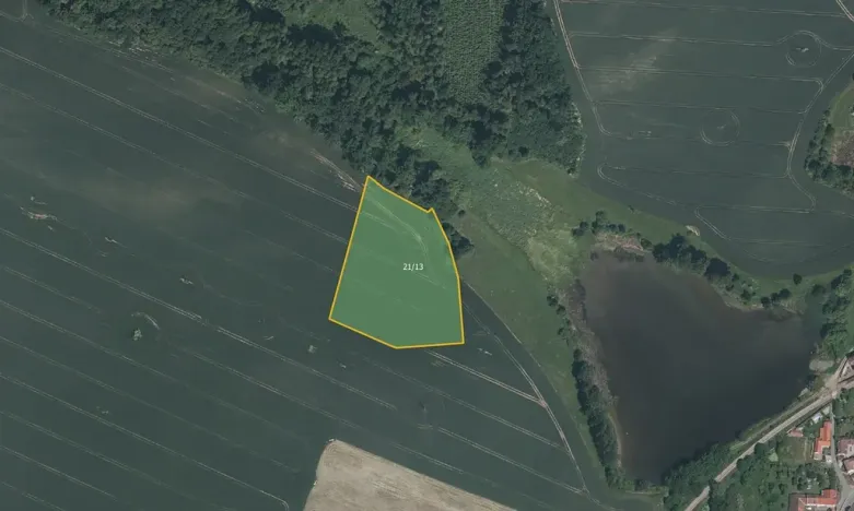 Prodej pole, Čížová, 12153 m2