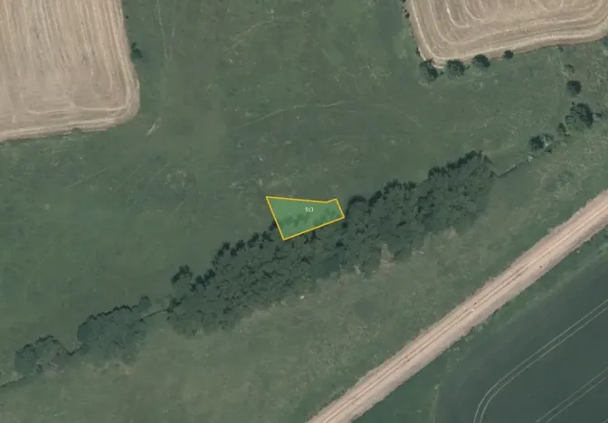 Prodej louky, Nesvačily, 9239 m2