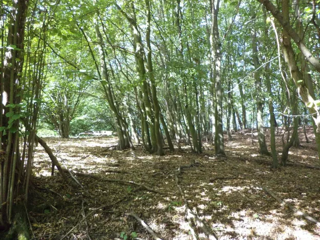 Prodej pole, Malé Březno, 14517 m2