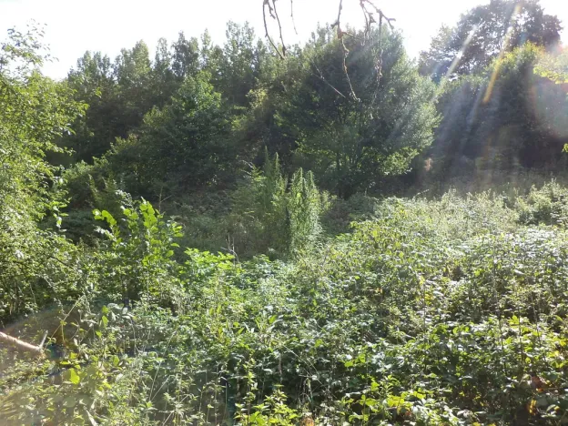 Prodej pole, Malé Březno, 14517 m2