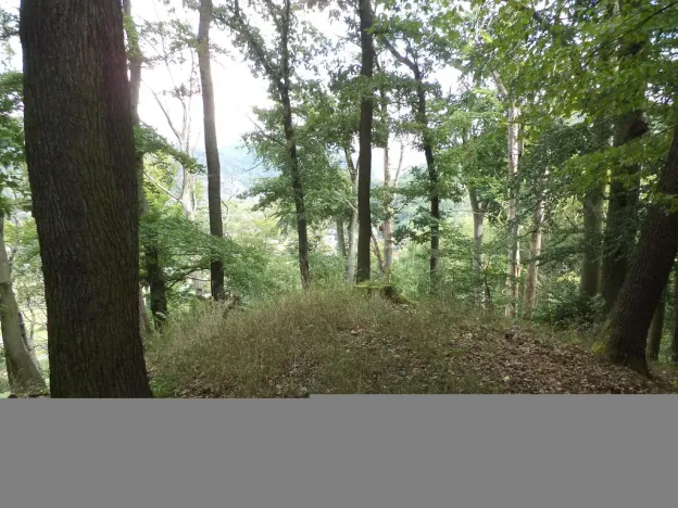 Prodej pole, Malé Březno, 14517 m2