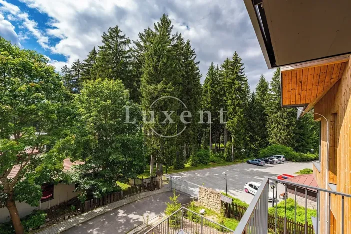 Prodej bytu 1+kk, Harrachov, 52 m2