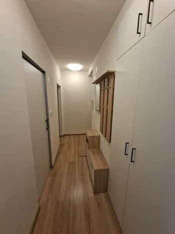 Pronájem bytu 1+1, Olomouc, Wolkerova, 39 m2