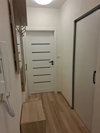 Pronájem bytu 1+1, Olomouc, Wolkerova, 39 m2