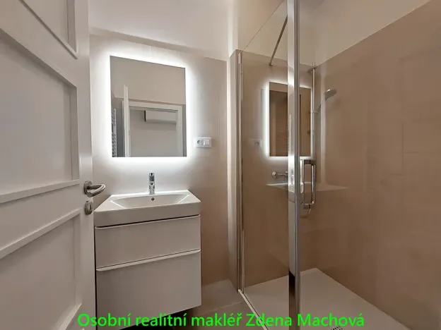 Pronájem bytu 1+1, Praha - Vinohrady, Písecká, 52 m2