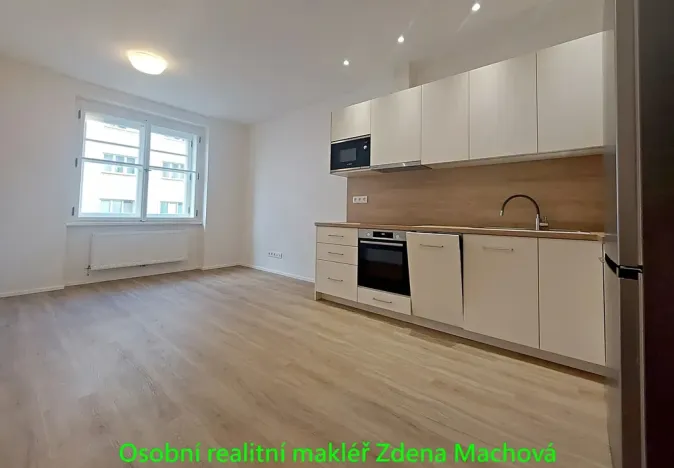 Pronájem bytu 1+1, Praha - Vinohrady, Písecká, 52 m2