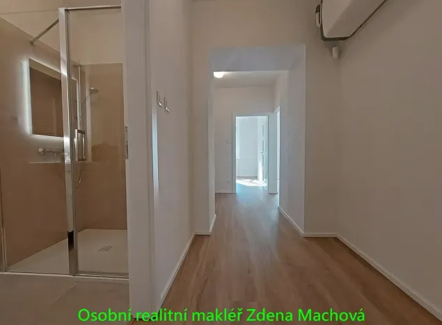 Pronájem bytu 1+1, Praha - Vinohrady, Písecká, 52 m2