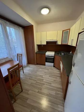 Pronájem bytu 2+1, Ostrava, Ahepjukova, 55 m2