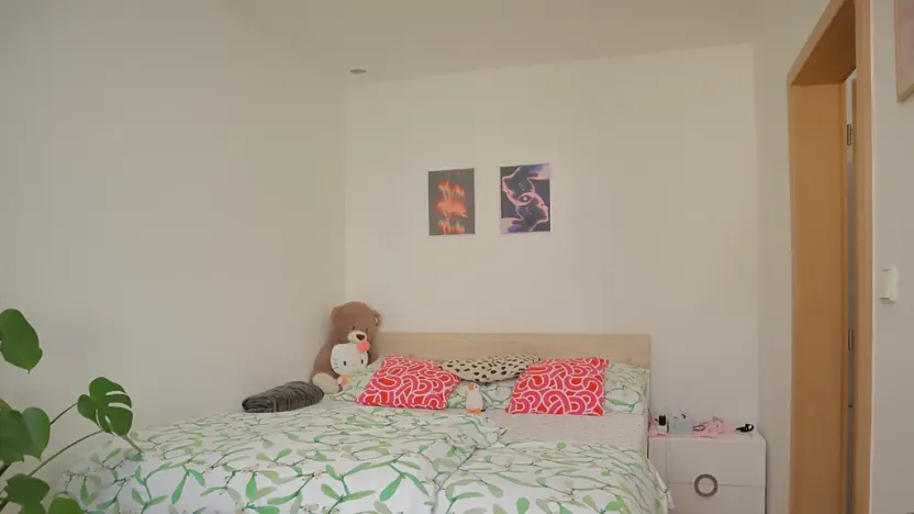 Prodej bytu 2+kk, Benešov, Rubešova, 38 m2