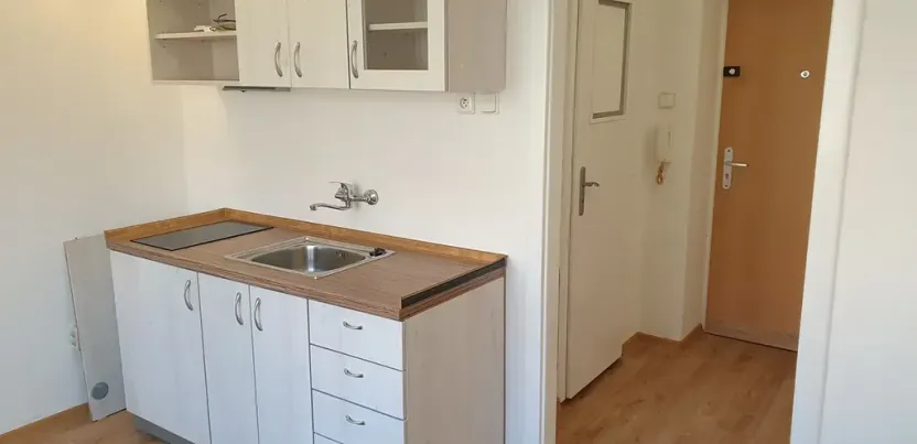 Prodej bytu 1+1, Teplice, Moskevské náměstí, 30 m2