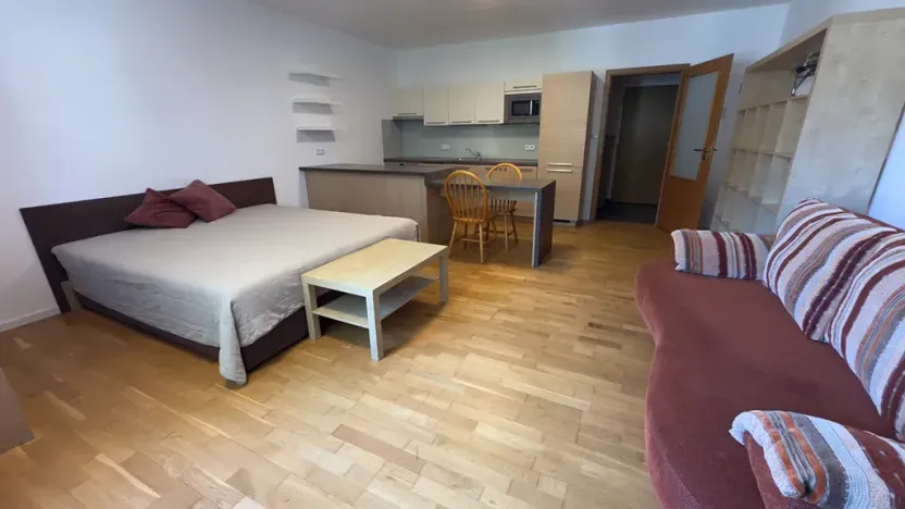 Pronájem bytu 1+kk, Brno, Vinohrady, 38 m2