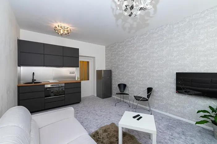 Pronájem bytu 1+kk, Praha - Vinohrady, Záhřebská, 30 m2