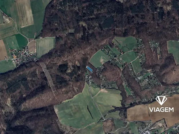 Prodej lesa, Vráž, 2989 m2