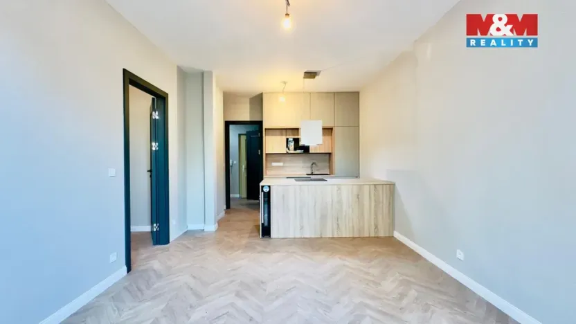 Pronájem bytu 2+kk, Opava - Předměstí, Riegrova, 56 m2