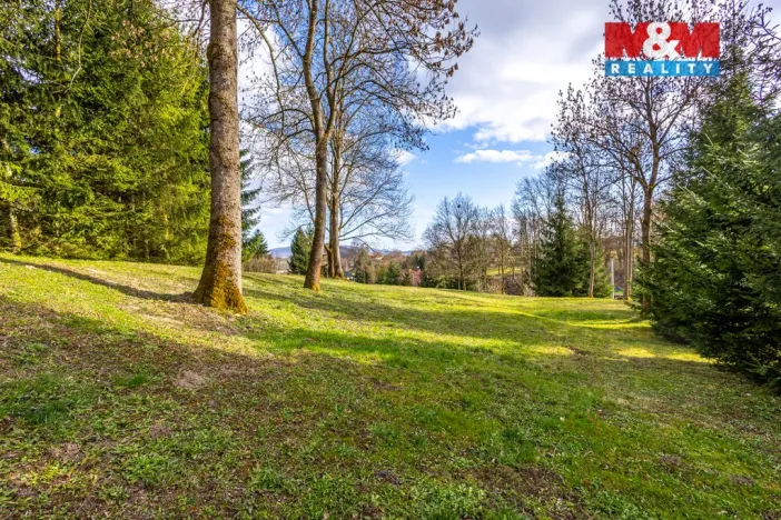 Prodej pozemku pro bydlení, Velká Bukovina, 4466 m2