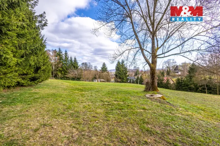 Prodej pozemku pro bydlení, Velká Bukovina, 4466 m2