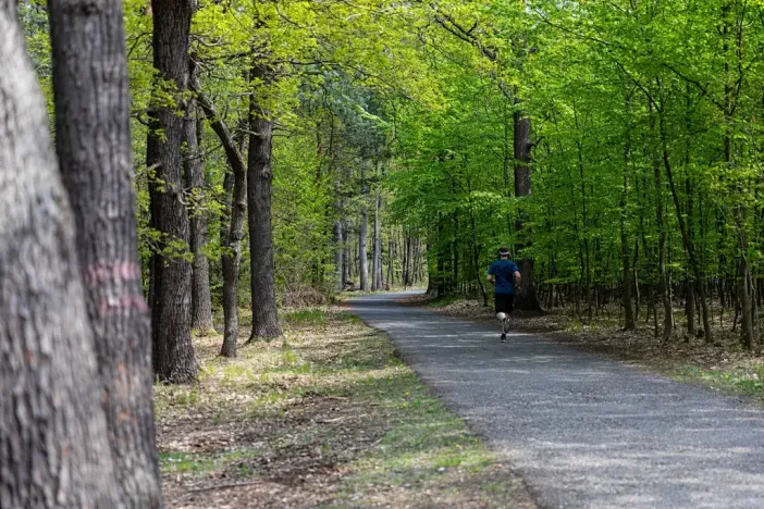 Pronájem kanceláře, Praha - Chodov, Tomíčkova, 8000 m2