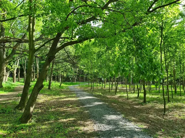 Pronájem kanceláře, Praha - Chodov, Tomíčkova, 1500 m2