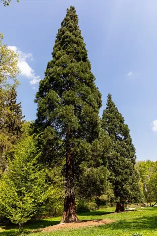 Pronájem kanceláře, Praha - Chodov, Tomíčkova, 500 m2