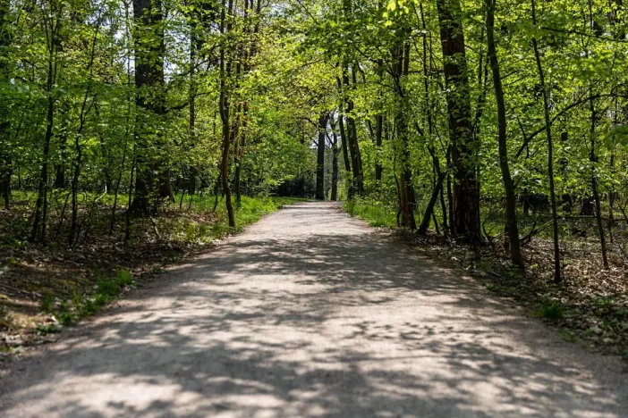 Pronájem kanceláře, Praha - Chodov, Tomíčkova, 33000 m2