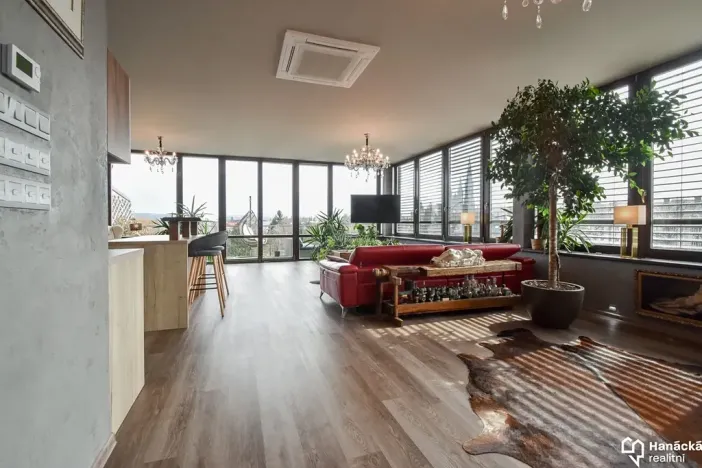 Pronájem bytu 1+kk, Olomouc, Kubíčkova, 97 m2