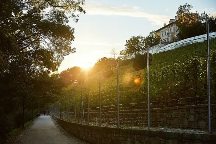 Prodej bytu 4+kk, Praha - Nusle, Bělehradská, 131 m2